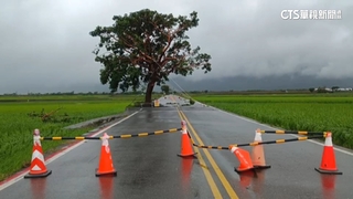 海葵肆虐！　伯朗大道變水道...還有鴨在游