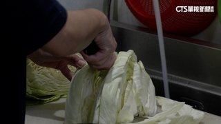 高麗菜漲衝擊餐飲店成本！　業者：替換菜色因應