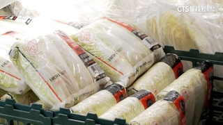 颱風接連！高麗菜貴翻　北農9/6起釋50噸平價蔬菜