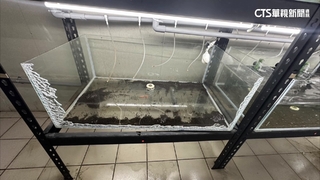 嘉義半個月連4震　學者：不排除有更大規模地震