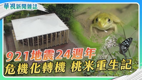 【921地震24週年】桃米重生記｜華視新聞雜誌