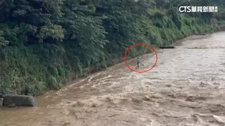 溪水暴漲釣客困沙洲　警消架繩索湍流中救人