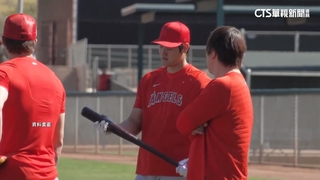 賽前臨時取消先發　大谷翔平連8場沒上場！