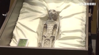 墨國「外星人」亮相　與電影版E.T.極相似