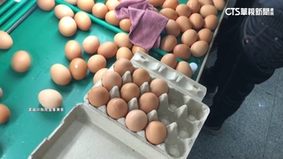 進口蛋「標示錯誤」全面下架！　全聯：11月11日前可辦理退貨