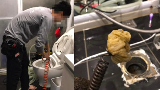 「濕式衛生紙」能安心丟進馬桶？　他丟了之後堵塞 無奈：安心「丟馬桶」