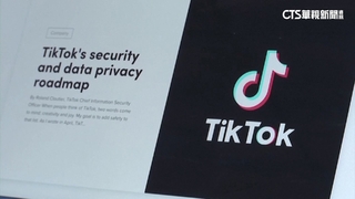 未做好保護兒童數據　TikTok遭歐盟罰117億台幣