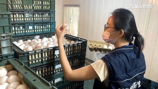 新北液蛋加工廠進口蛋「混國產」　逾2萬公斤流市面