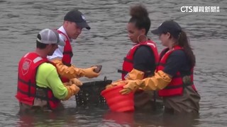 王子摸蚵仔！　威廉著青蛙裝參訪牡蠣養殖場