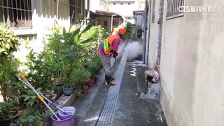 屋頂「天溝」恐成病媒蚊溫床　發現孑孓罰3千