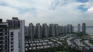 中國打造大馬「森林城市」　被稱東南亞最大鬼城