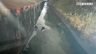 「廢油」一條龍！　4公司違法亂倒10年　不法獲利1.1億