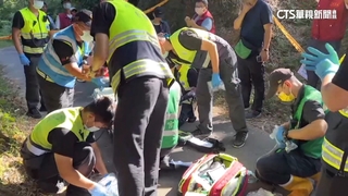 蜂螫釀死！　登山客全身發黑？　醫：血流不足