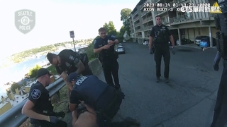 美員警追捕劫車犯　驚動黃蜂窩慘遭「狂螫」