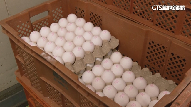 還有3千萬顆蛋將到期？　農業部澄清：是120萬到130萬顆 | 華視新聞