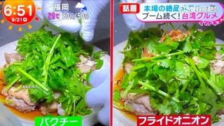 日本美食節目介紹台灣雞肉飯　「狂加香菜」網熱議