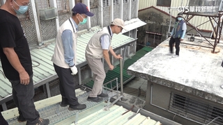 台南登革熱病例破萬　估本周高峰！中秋出遊小心