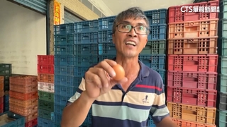 追臭蛋來源　蛋行老闆喊冤　當場敲蛋驗證新鮮度