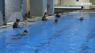 跳水池長滿青苔　運動中心泳池驚變生態池！