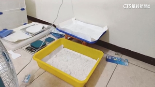 收購大量感冒藥製毒被逮　3歲稚女進警局找藥頭父