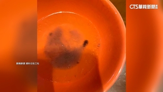 關子嶺餐廳喝到「蟲雞湯」　消費者控店家態度差