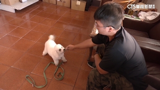 訓犬收費如何計算？　訓犬師：視狗情緒狀態.體型而定