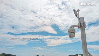 「鏡頭君」回歸遇小犬　網友加油：有大場面了！