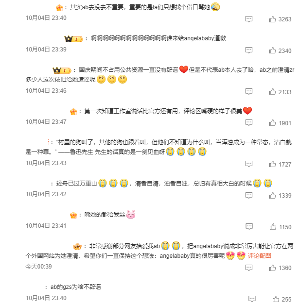 中國網友反應 / 翻攝自 微博 