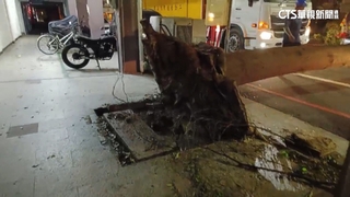 電線設備被樹枝打壞　高雄鼓山1446戶無電用