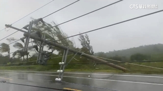 小犬一夜狂風暴雨　屏東滿州整排電桿倒
