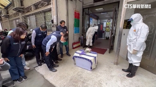 圍捕東非狒狒變獵殺　監院糾正桃市府.農業部