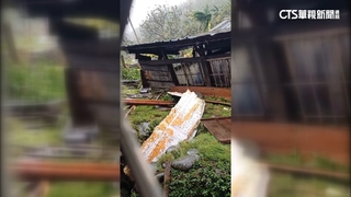 「小犬」蘭嶼風速每秒95.2公尺　世界氣象史第三強