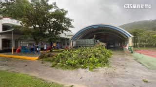 「小犬」挾強風豪雨登陸　「5分鐘」重創恆春半島