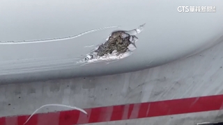 小犬吹斷明潭水上工作平台繩索　漂3公里撞2遊艇