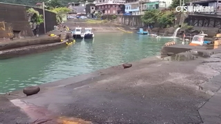 導航指錯路闖大溪漁港　一家3口落水「開窗」獲救