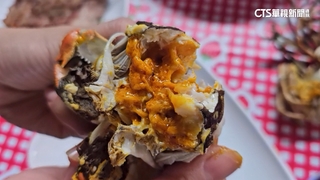 苗栗大閘蟹國慶連假上市　老饕卡位搶先嘗鮮