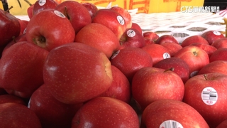 沒有「蜜蘋果」...　福壽山農場解答：生理障礙非品種