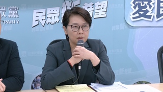 藍白合民調.民主初選談不攏　黃珊珊揭3個阻礙關鍵