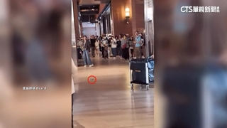 裕隆城「天降磚塊」險砸傷人　業者：已全面檢測