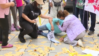 憂公墓「種電」危害健康　八旬婦抗議熱昏送醫