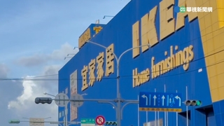 「哇沙米霜淇淋」真的來了！IKEA新口味超獵奇　網喊：愚人節？