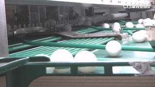 食安疑慮！　本土蛋買氣差　蛋價每台斤降2元