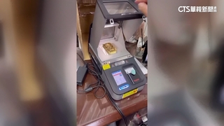 男花700萬買「財富女神」被詐　金磚整塊攏系假