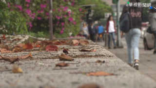 受東北季風影響　北台灣轉涼　各地降雨機率漸增