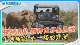 【探祕南非】生態旅遊 不一樣的非洲｜華視新聞雜誌