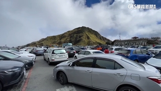 清境農場假日湧千名遊客　搶周圍百個車位違規多