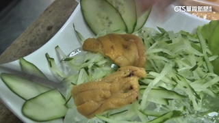 養殖技術突破！　澎湖馬糞海膽有望「全年吃得到」