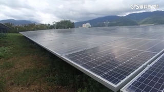 海葵重創台東！　驚爆種電謊報申請害延遲補助