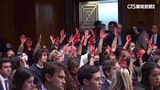 布林肯出席參院聽證會　反戰人士「血手」嗆聲