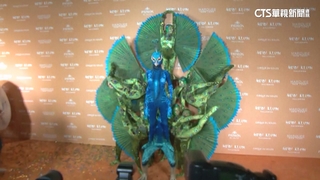 連22年開趴！萬聖節女王海蒂克隆扮孔雀驚豔全場